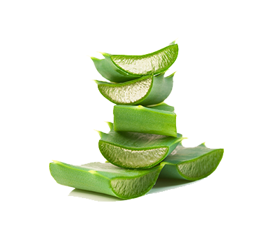 About Key West Aloe brand